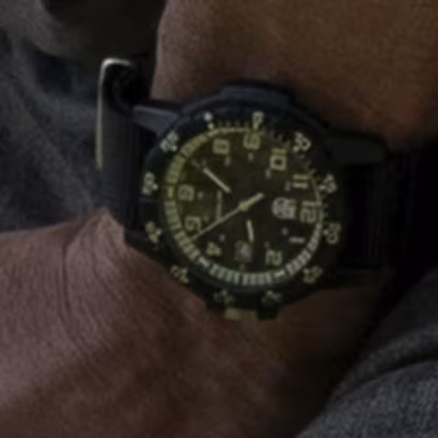 Luminox Leatherback Sea Turtle close-up