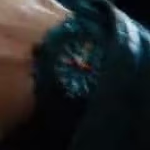 Unidentified watch close-up