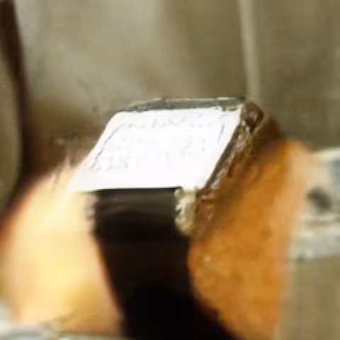 Unidentified watch close-up