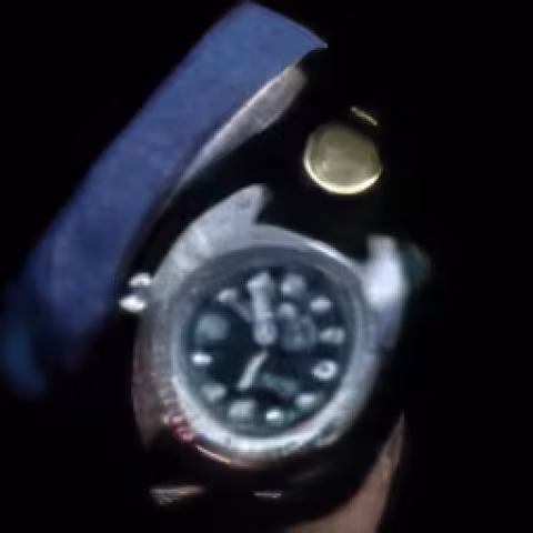 Doxa Sharkhunter close-up