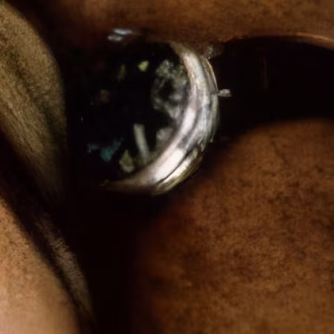 Unidentified watch close-up