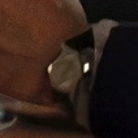 Hamilton Linwood Viewmatic close-up