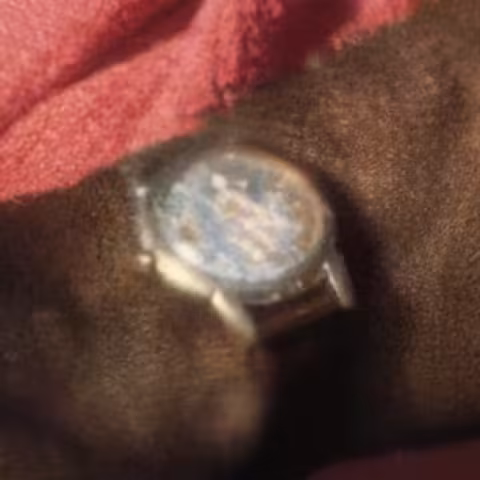 Omega Seamaster close-up