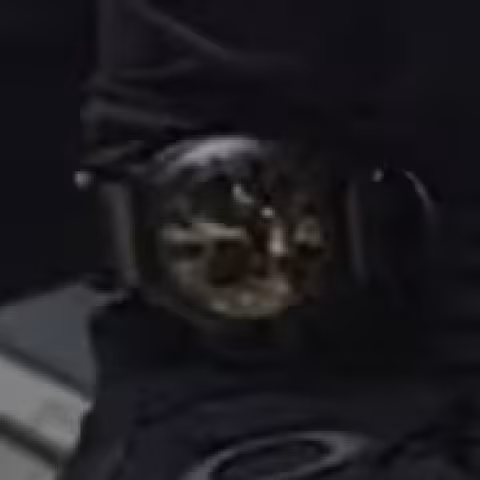 Panerai Luminor 1950 close-up