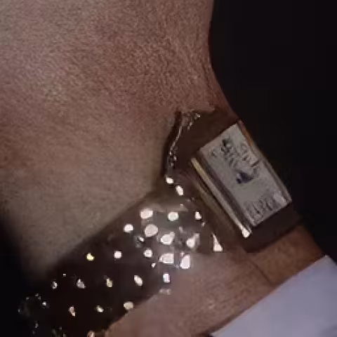 Cartier Panthère de Cartier close-up