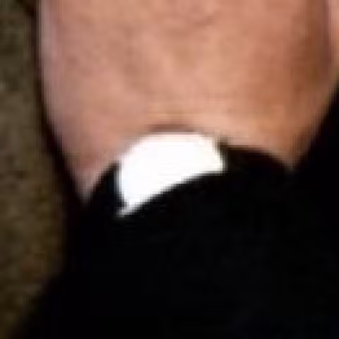 Cartier Tank close-up