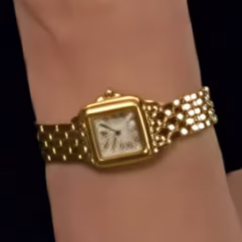 Cartier Panthère de Cartier close-up