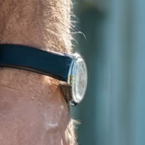 Omega Constellation close-up