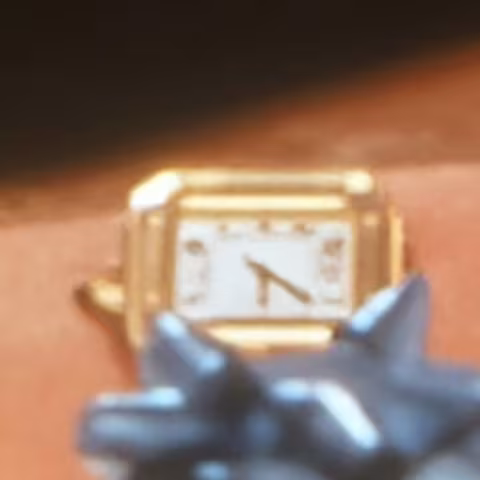 Cartier Santos de Cartier close-up