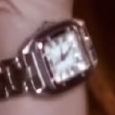 Cartier Panthère de Cartier close-up