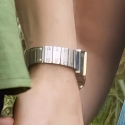 Cartier Santos de Cartier close-up