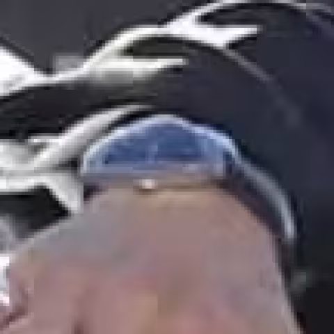 Hamilton Ventura close-up