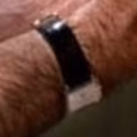 Cartier Tank close-up