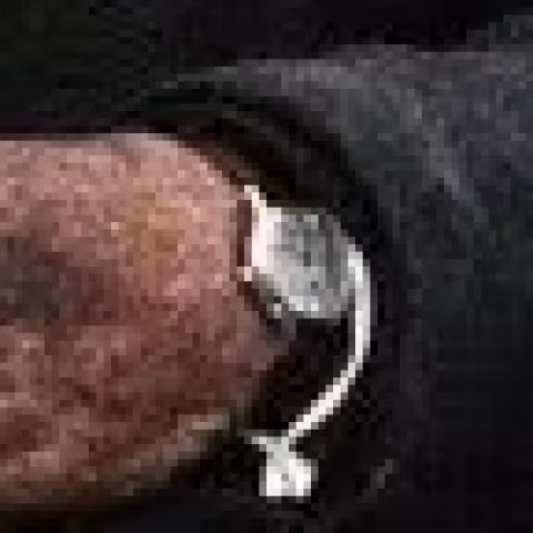 Hamilton Linwood close-up