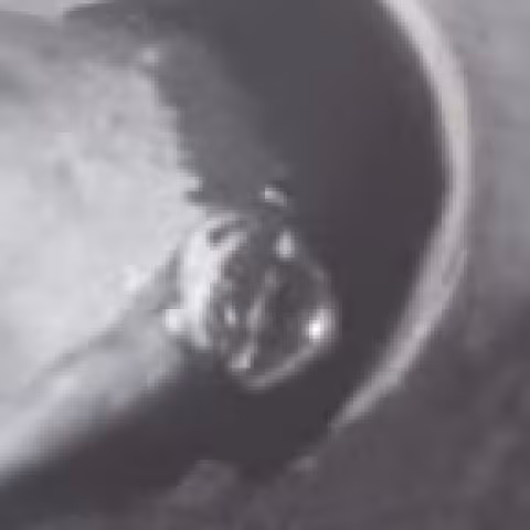 Rolex Day-Date close-up