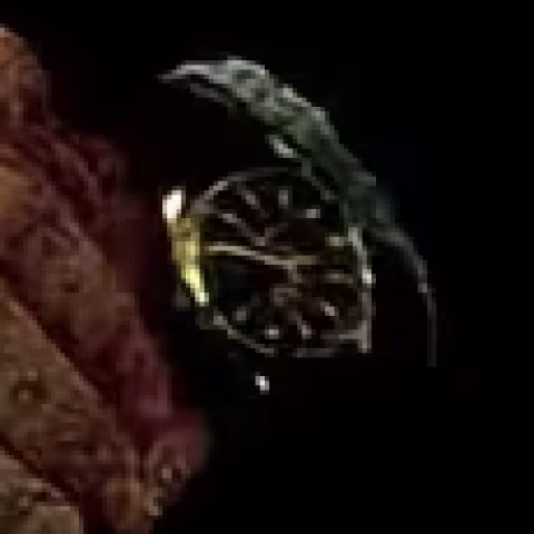 Omega Seamaster Aqua Terra close-up
