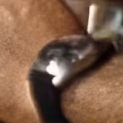 Rolex Submariner close-up