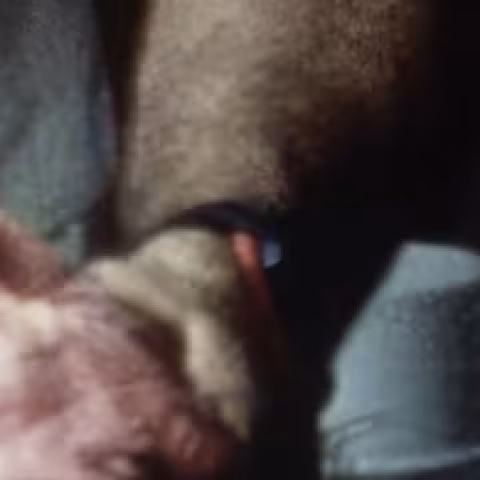 Casio Dual F100 Watch (custom prop) close-up