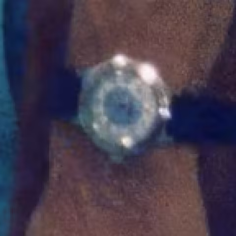 Vostok Amphibia close-up