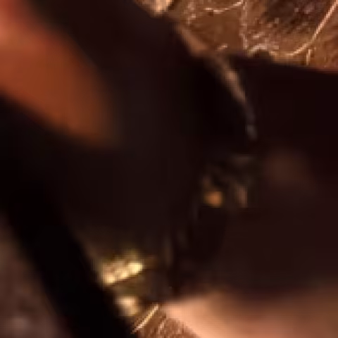 Unidentified watch close-up