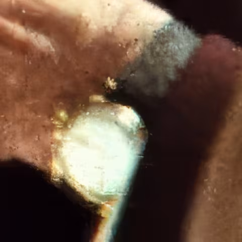 Unidentified watch close-up