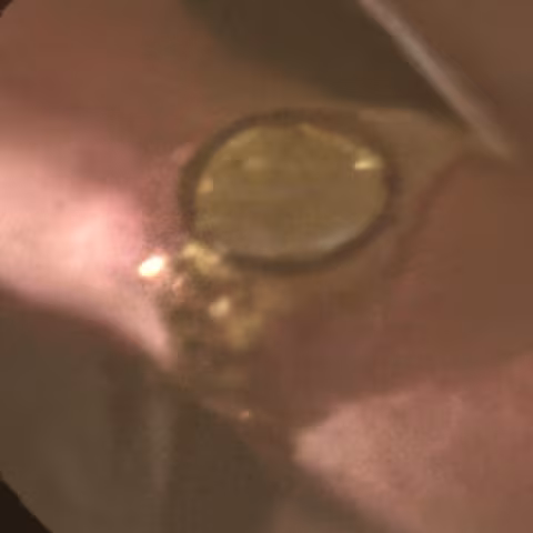 Rolex Day-Date close-up