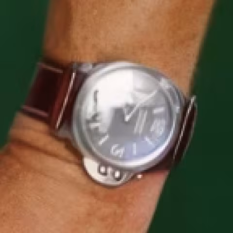 Panerai Luminor Marina close-up