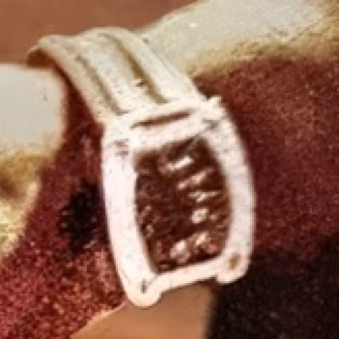 Unidentified watch close-up