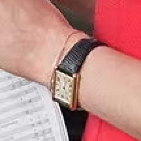 Cartier Tank Solo close-up