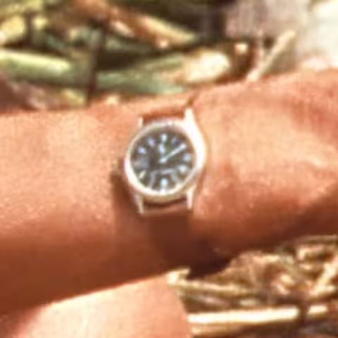 Timex Expedition close-up