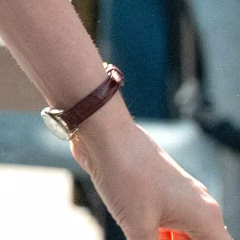 Cartier Baignoire close-up
