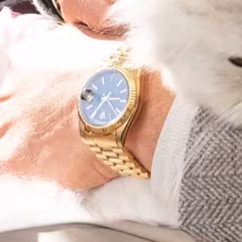 Rolex Datejust close-up