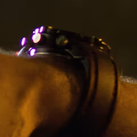 Unidentified watch close-up