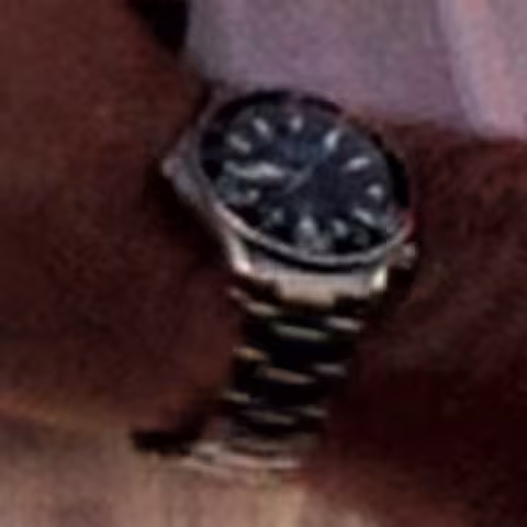 Omega Seamaster Professional close-up