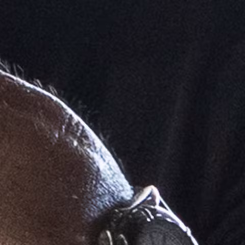 Unidentified watch close-up