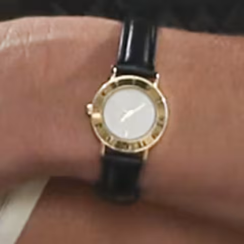 Unidentified watch close-up