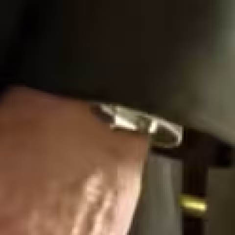 Hamilton Ventura close-up