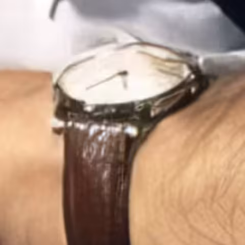 Unidentified watch close-up