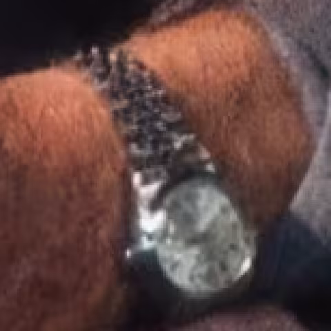 Rolex Datejust close-up