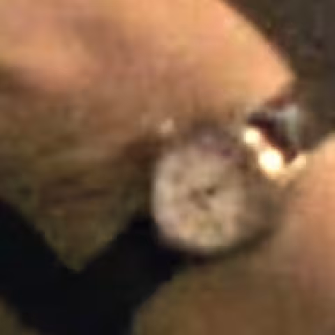 Timex Expedition close-up