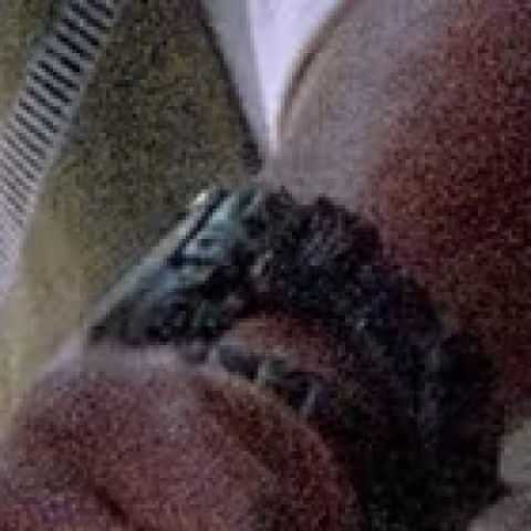 Casio Pathfinder PRG-40 close-up