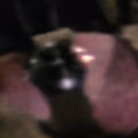 Hamilton Broad Arrow close-up