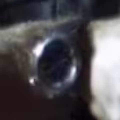 IWC Aquatimer close-up