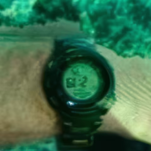 Casio Pro Trek PAW-1300G-1V close-up
