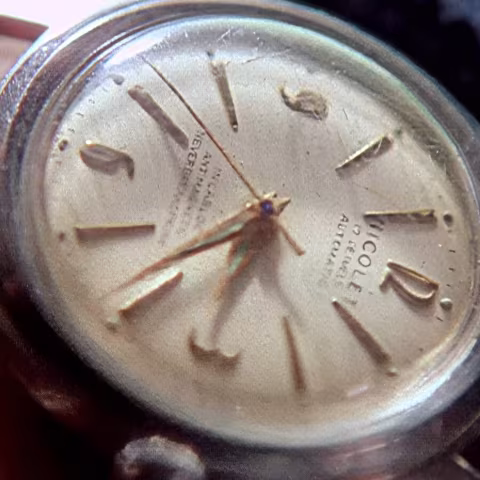 Nicolet close-up