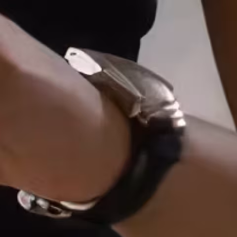 Hamilton Ventura close-up
