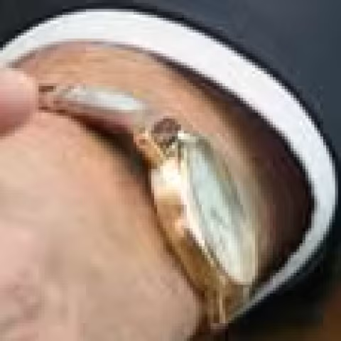Unidentified watch close-up