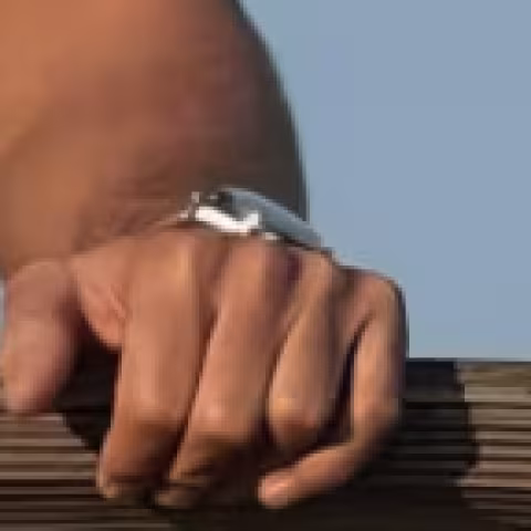 Omega Speedmaster Professional close-up