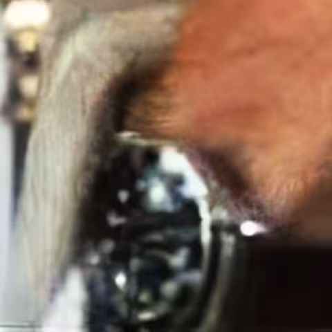 Rolex Submariner close-up