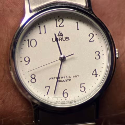 Lorus close-up